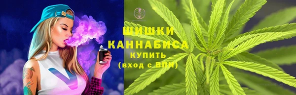 PSILOCYBIN Беломорск