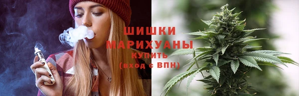 гидра Белокуриха