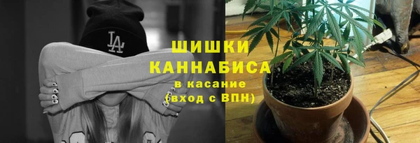 гидра Белокуриха