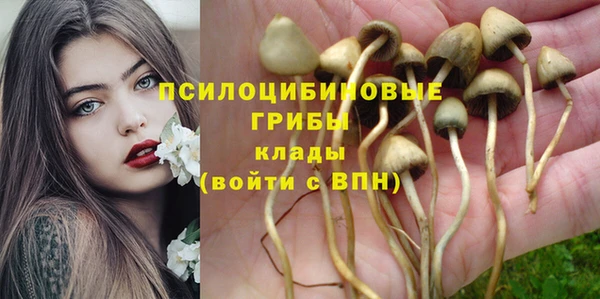 крисы Балабаново