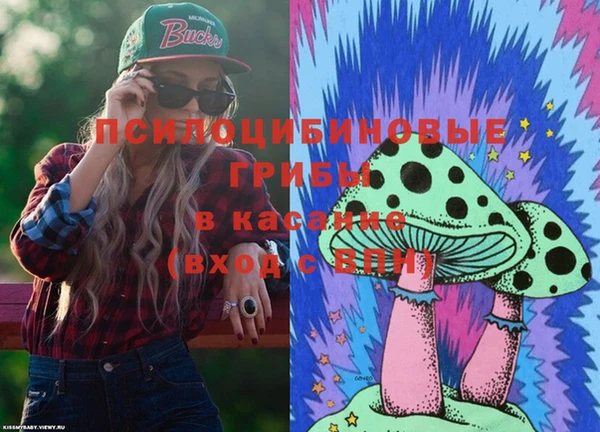 PSILOCYBIN Беломорск