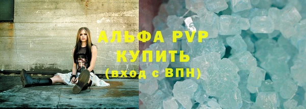 гидра Белокуриха