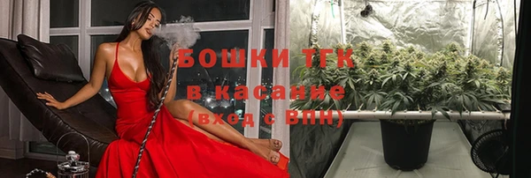 гидра Белокуриха
