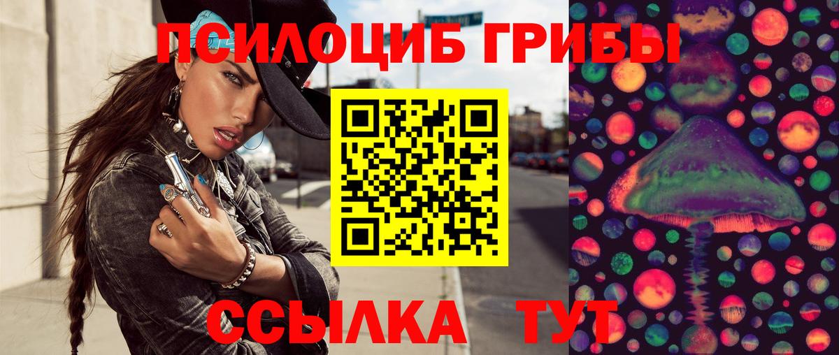 Псилоцибиновые грибы Cubensis Кунгур
