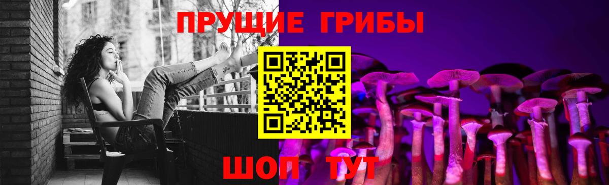 сколько стоит  Вход с VPN  Кунгур  Псилоцибиновые грибы Psilocybe  Псилоцибиновые грибы Cubensis 